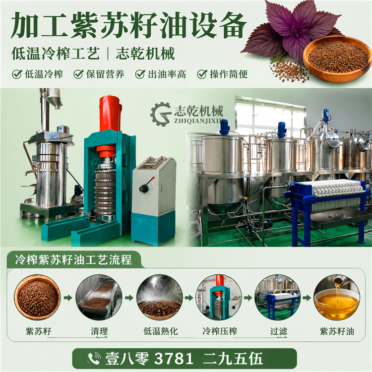 低温紫苏油榨油设备 冷榨苏子油生产线 志乾粮油榨油精炼提纯