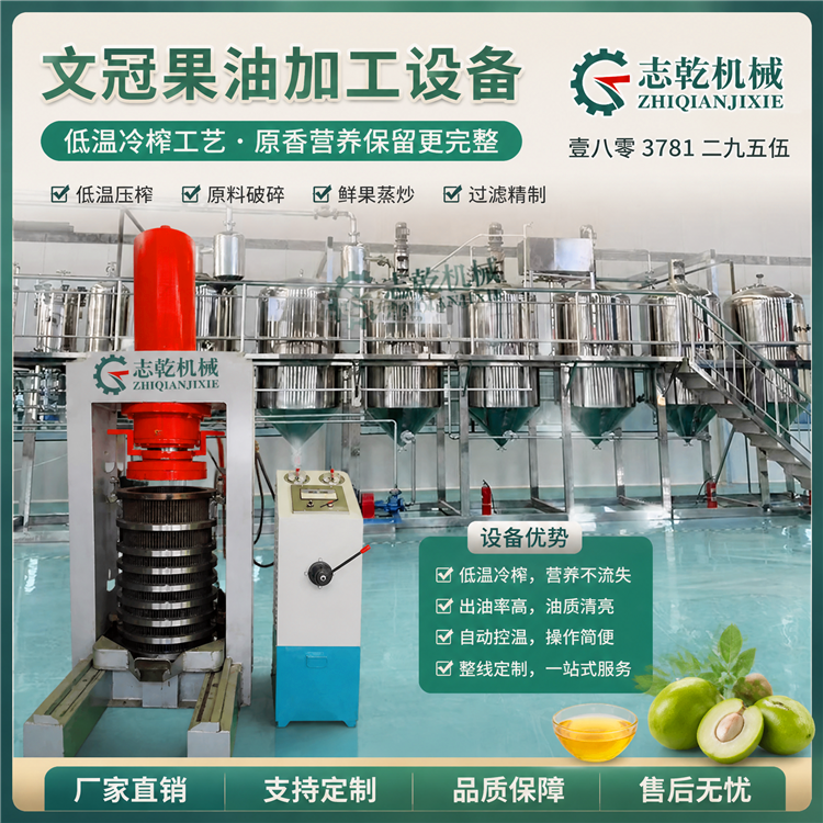 冷榨文冠果油设备 低温加工植物油设备 志乾压榨精炼生产线设备